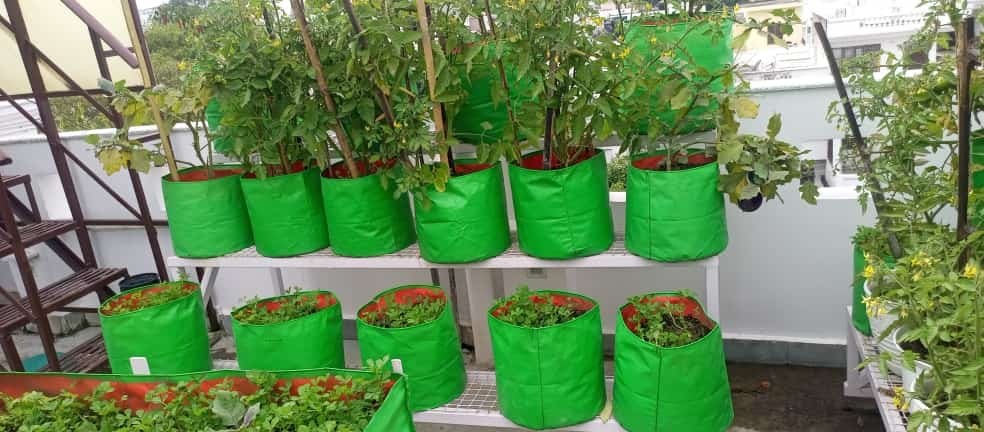 Balcony Gardening System